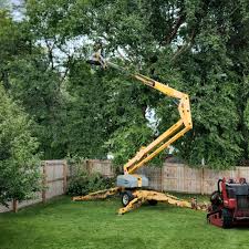 Why Choose Our Tree Removal Services in East Mckeesport, PA?